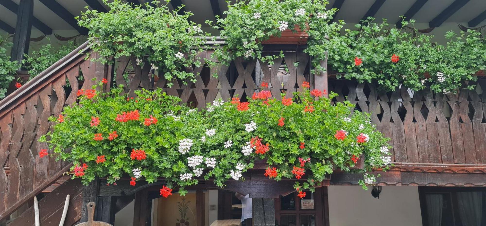 Стаи За Гости The Old House Velingrad Ngoại thất bức ảnh